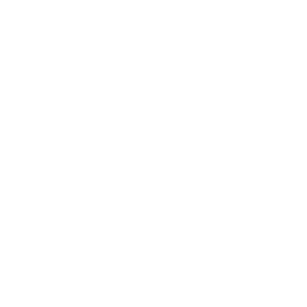 white nexcain logo